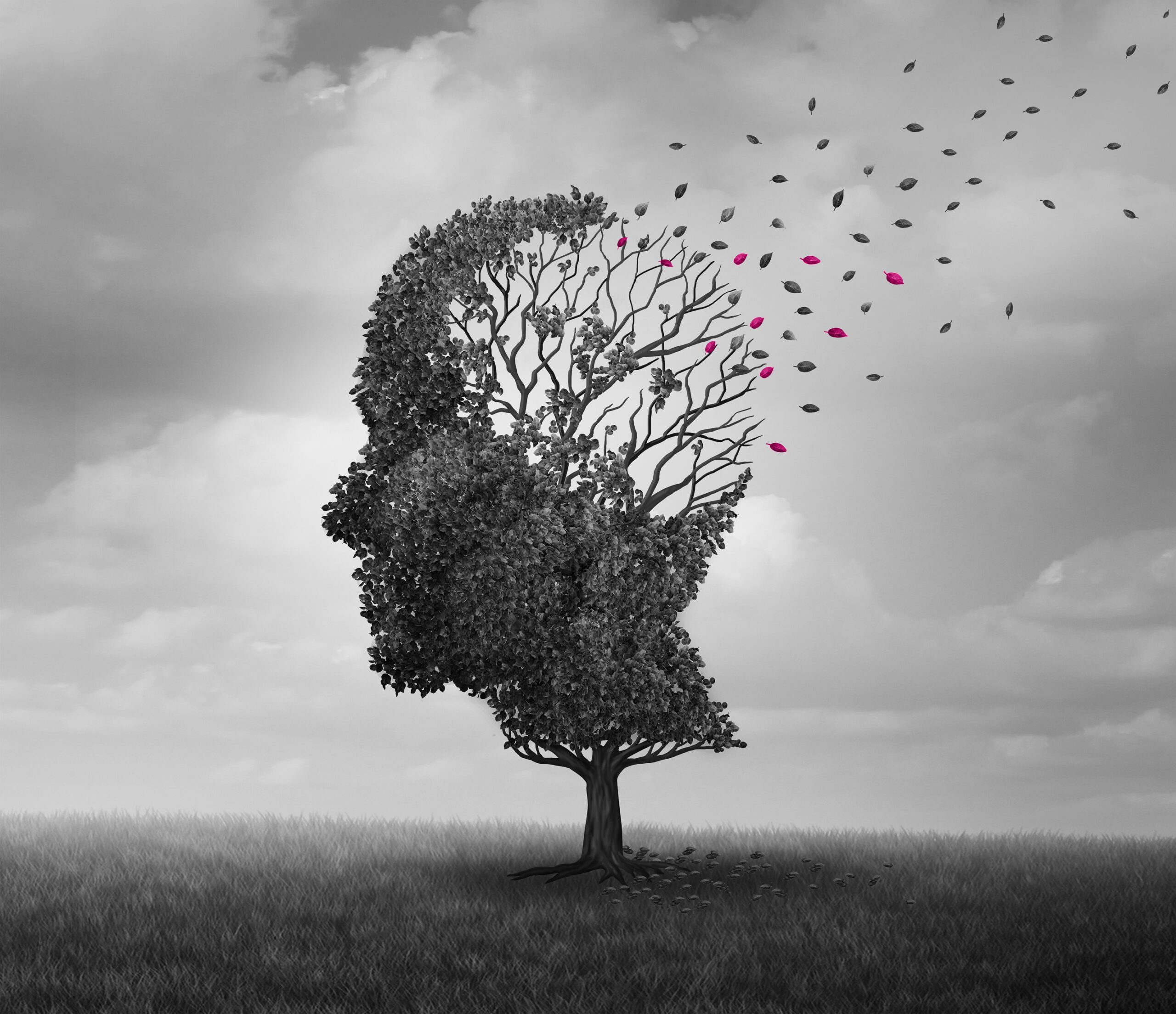 Fraser Dawbarns partners with Alzheimer’s Society Image
